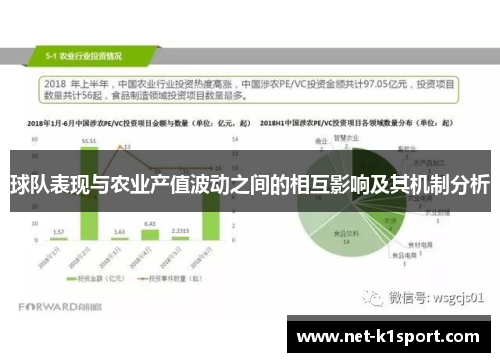 球队表现与农业产值波动之间的相互影响及其机制分析