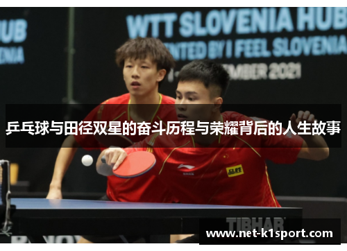 乒乓球与田径双星的奋斗历程与荣耀背后的人生故事