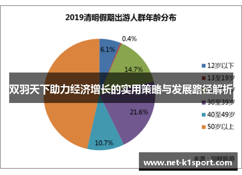 双羽天下助力经济增长的实用策略与发展路径解析