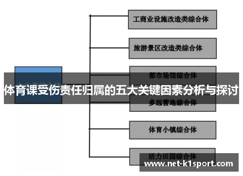 体育课受伤责任归属的五大关键因素分析与探讨