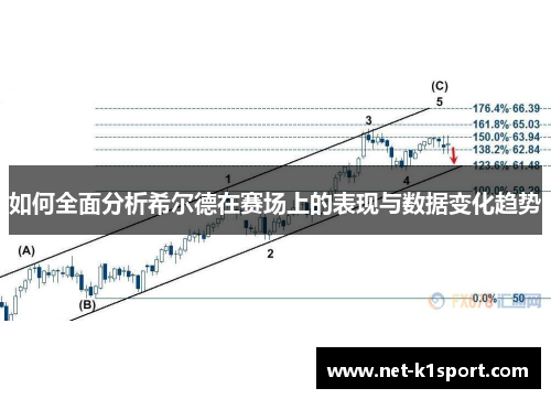 如何全面分析希尔德在赛场上的表现与数据变化趋势