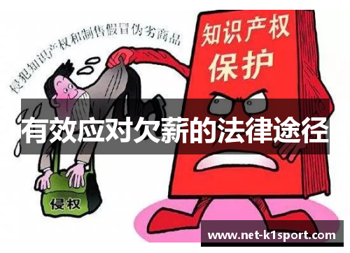 有效应对欠薪的法律途径