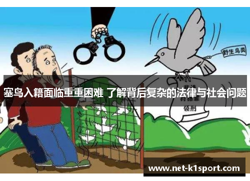 塞鸟入籍面临重重困难 了解背后复杂的法律与社会问题