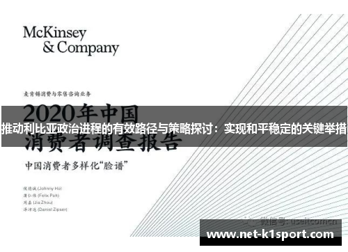 推动利比亚政治进程的有效路径与策略探讨：实现和平稳定的关键举措